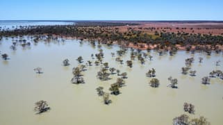 * Volo Station Wilcannia NSW 2836