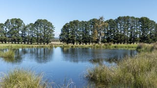 Lot 1 Longwood Ruffy Road Ruffy VIC 3666 Lot 1 Longwood Ruffy Road Ruffy VIC 3666