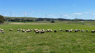 Gurrundah Road Gunning NSW 2581