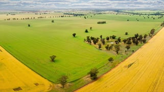 Cullivel Road Urana NSW 2645