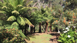 198 Whitehills Road Penguin TAS 7316 198 Whitehills Road Penguin TAS 7316