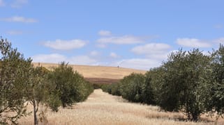 Section 426 Worlds End Highway Eudunda SA 5374