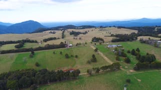 Dorrigo Mountain NSW 2453