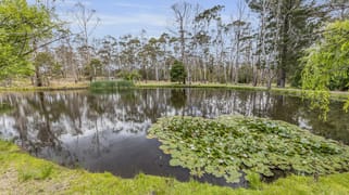3612 Towamba Rd Burragate NSW 2550 3612 Towamba Rd Burragate NSW 2550