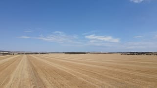 'Raysons' Section 1 & 28 Eyre Highway Solomon SA 5641