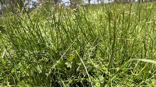 Lot/4 Sullivans Rd Dartmoor VIC 3304