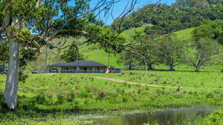 49 Hicks Road Spring Grove NSW 2470