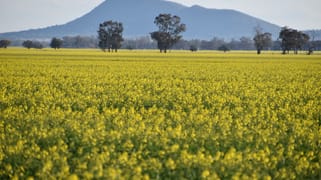 "Oomaville & Devon" Henry Lawson Way Ooma NSW 2871