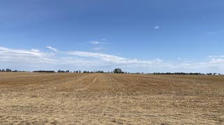 Donald-Murtoa Road Minyip VIC 3392