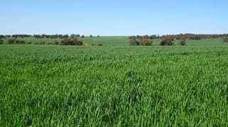 1104 Shaddick Road East Pingelly WA 6308