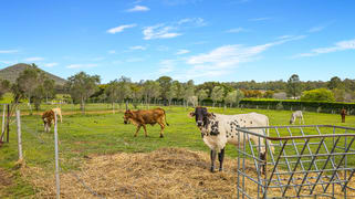 437 Newlands Road Wamuran QLD 4512 437 Newlands Road Wamuran QLD 4512