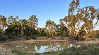 1295 Brooks Road Binnaway NSW 2395