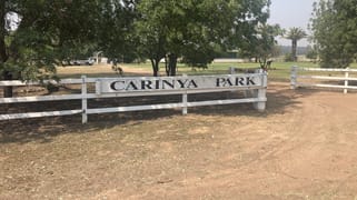 "Carinya Park" 1158 Warrumbungles Way Coolah NSW 2843