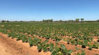 259 McGlades Road North Plantations WA 6701