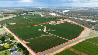 157 Cassia Street Red Cliffs VIC 3496 157 Cassia Street Red Cliffs VIC 3496