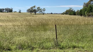 8308 The Bogan Way Trundle NSW 2875