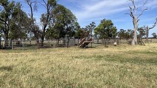 50 Warrena Road Coonamble NSW 2829