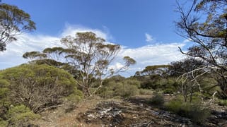 Lot 106 Jackson Road Ettrick SA 5253