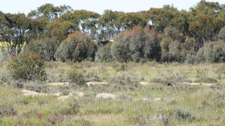 Lot 3 Rifle Range Rd Dumbleyung WA 6350