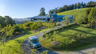 1163 Deer Vale Road Dorrigo NSW 2453
