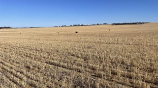 . Lot 11525 Ditchburn Road Nyabing WA 6341