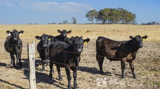 710 Bramley River Road Osmington WA 6285