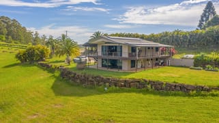 74 Rose Road Tuntable Creek NSW 2480