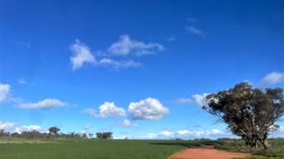 Bunjil-Carnamah Road Carnamah WA 6517