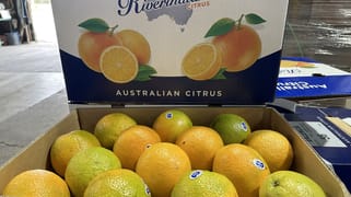 1058 Kidman Way Hanwood NSW 2680