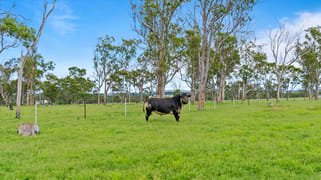 261 Althaus Road Westbrook QLD 4350