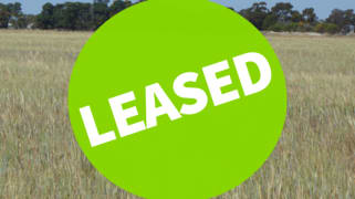 Allotment 1 Cnr Bell Road and Carcuma Road Tintinara SA 5266