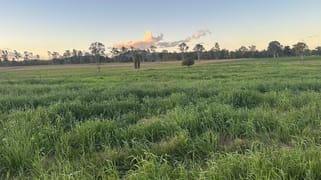 817 Curra Estate Road Curra QLD 4570 817 Curra Estate Road Curra QLD 4570