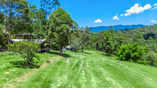 364 Byrrill Creek Road Byrrill Creek NSW 2484