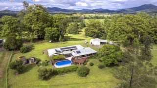 309 Lower Buckra Bendinni Road Buckra Bendinni NSW 2449