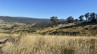 1230 Maragle Road Maragle NSW 2653