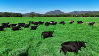 1456 Rollands Plains Road Ballengarra NSW 2441