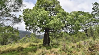 1670 Watagan Creek Road Watagan NSW 2325