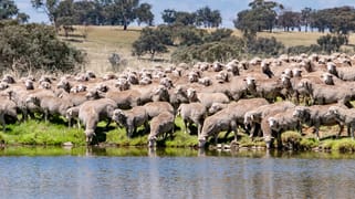 6690 Newell Highway Gowang NSW 2357