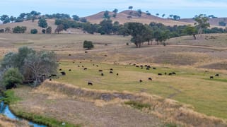 595 Ancona Road Ancona VIC 3715
