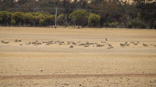 191 Great Southern Highway Woodanilling WA 6316