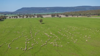 799 Pleasant Valley Road Binya NSW 2665