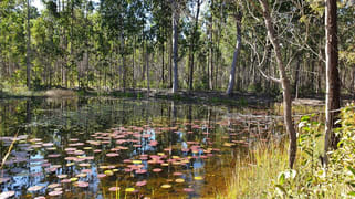 2229 Myall Creek Road West Bungawalbin NSW 2471