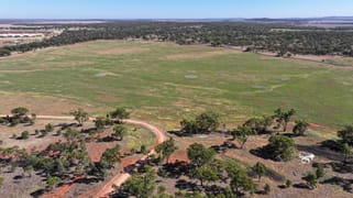 Back Hillston Road Tabbita NSW 2652