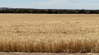 13181 Rabbit Proof Fence Road Nyabing WA 6341
