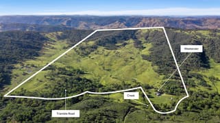 1885 Triamble Road Triamble NSW 2850