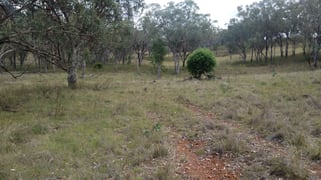 Upper Bingara Rd Bingara NSW 2404