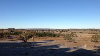 258 Kangaloolah Road Binda NSW 2583