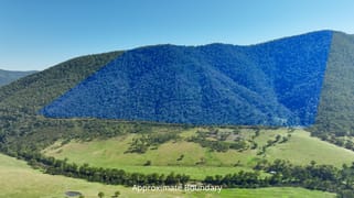 CA 9 Sec 20 Wonnangatta Road Dargo VIC 3862