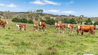 55 Rosehill Road Metcalfe VIC 3448