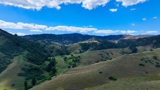 "Cooleen North" Bushs Creek Road Timor Via Murrurundi NSW 2338